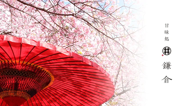 A red Japanese parasol under cherry blossoms with the Kamakura sign
